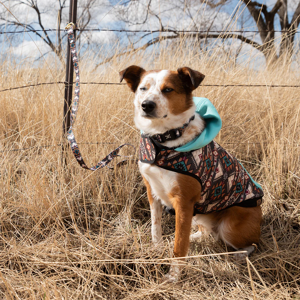 Hooey Dog Hoody - Beluga Monterey - Image 3