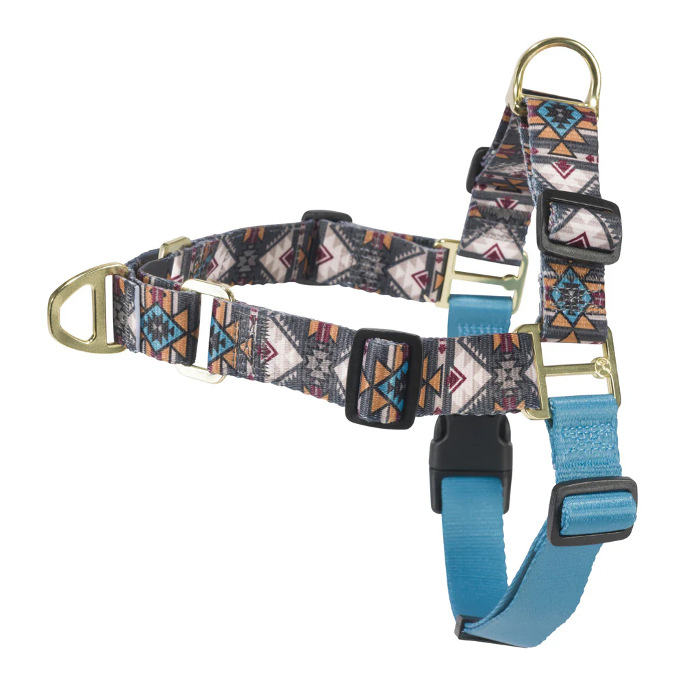 Hooey Pet Walking Harness - Beluga Monterey - Image 2