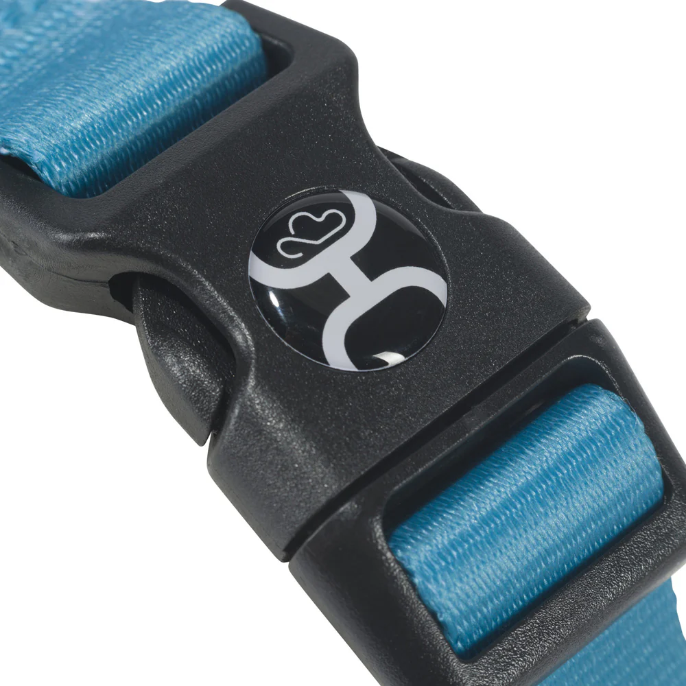 Hooey Pet Walking Harness - Beluga Monterey - Image 6