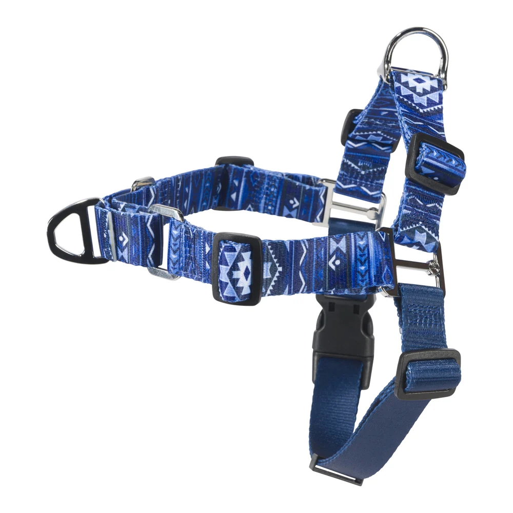 Hooey Pet Walking Harness - Ombre Aztec - Image 2
