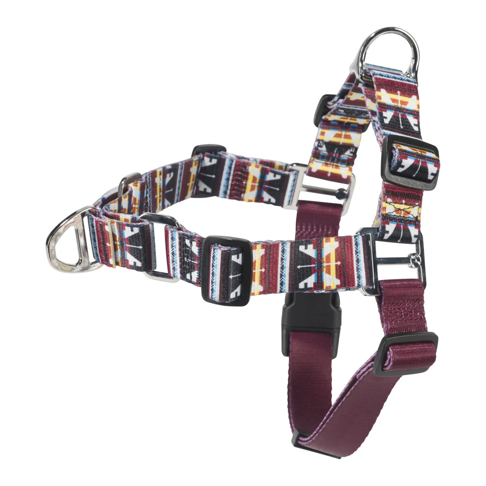 Hooey Pet Walking Harness - Totem - Image 2