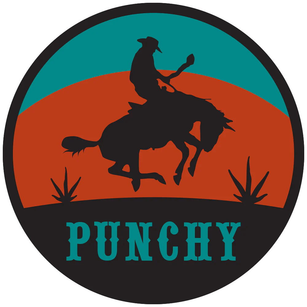Punchy Teal / Orange / Black Decal